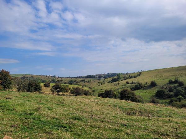 Rolling countryside